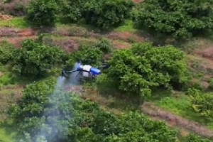 Обприскування фруктових дерев за допомогою дронів. Чи стане це новим проривом для сільськогосподарських дронів EAVISION?
