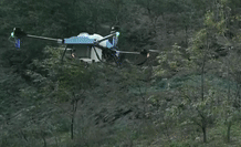 Чжецзян | Обприскування в гірській місцевості непросте, сільськогосподарські дрони EAVISION знайдуть рішення
