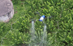 Які фактори впливають на ефект захисту рослин від дронів?
