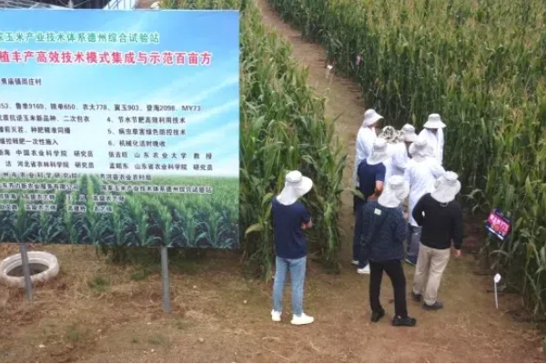 Eavision сприяє підвищенню врожайності ярої кукурудзи в регіоні Хуан-Хуай-Хай