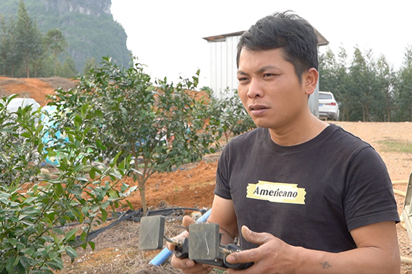 Бін розповідає, як він заробляє 300 000 юанів на рік, займаючись боротьбою з повітряними шкідниками