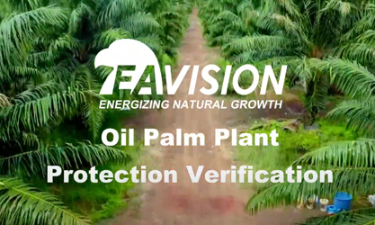 Безпілотний розпилювач пальмової олії Перевірка захисту рослин