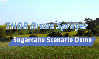 THOR Drone Sprayer for Sugarcane Scenario Demo (Бразилія)